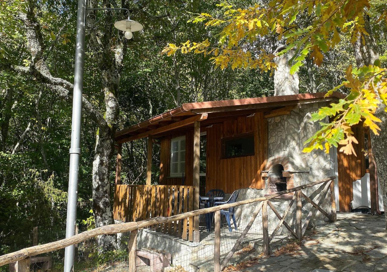 Camping Village La Verna Chiusi della Verna Ngoại thất bức ảnh