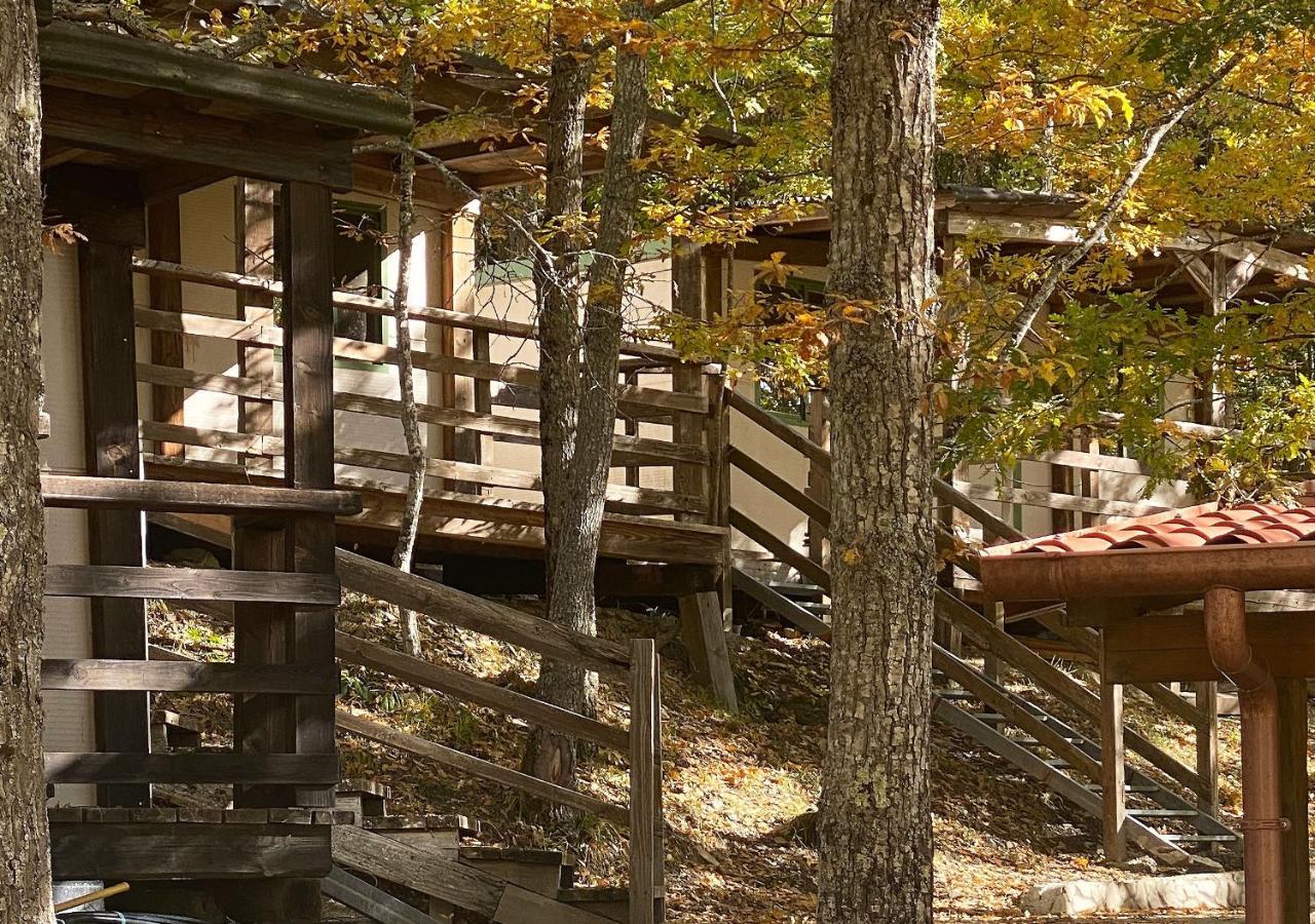 Camping Village La Verna Chiusi della Verna Ngoại thất bức ảnh