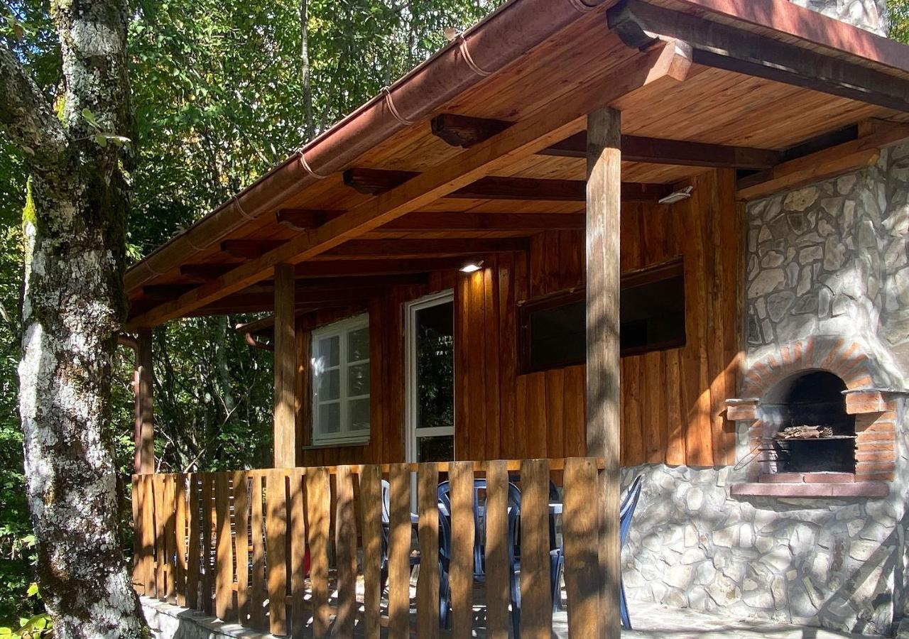 Camping Village La Verna Chiusi della Verna Ngoại thất bức ảnh